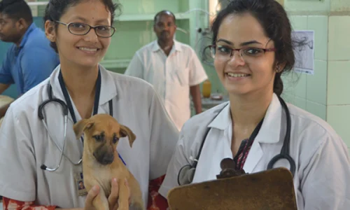 VETERINARY COURSES