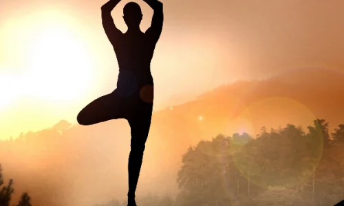 NATUROPATHY & YOGA COURSES