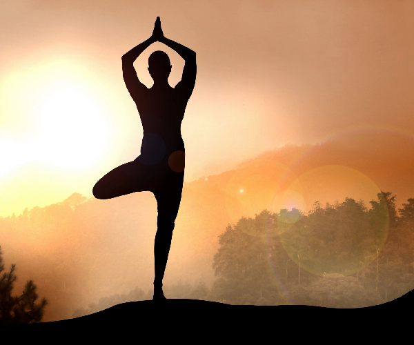 NATUROPATHY & YOGA COURSES